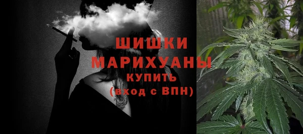 сатива Краснотурьинск