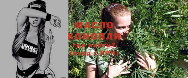 гашик Коряжма