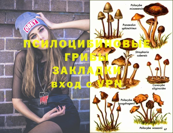 гашик Коряжма