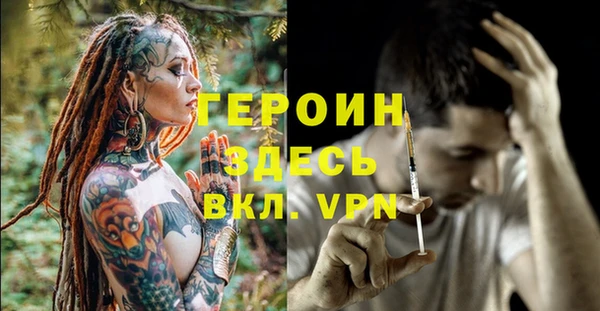 индика Краснослободск