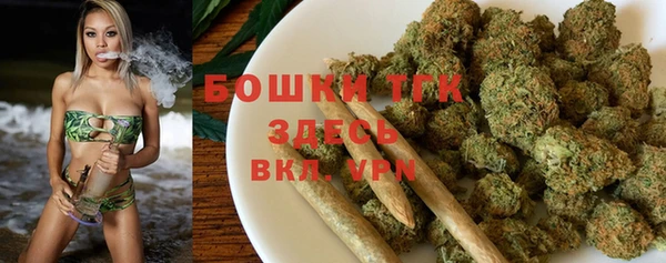 винт Костерёво
