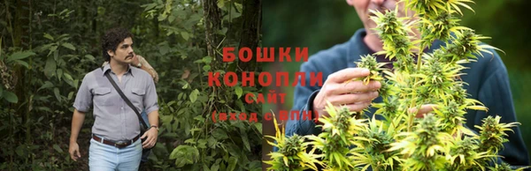 спайс Козловка